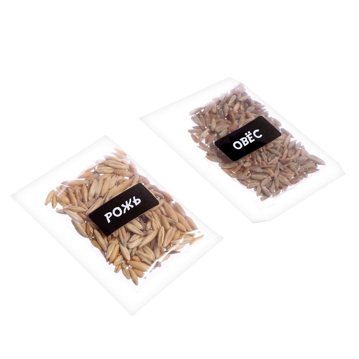 Набор для опытов &laquo;Чудеса света: Чичен-Ица&raquo;