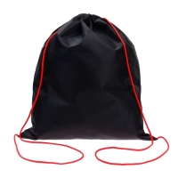 Мешок для обуви 490 х 410 мм, СДС-53, T-REX 2023