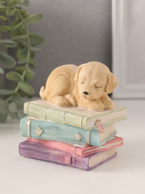 Сувенир полистоун "Щенок спит на книгах" 9х7х8,5 см