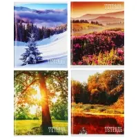 Тетрадь 48 листов в клетку, Calligrata &laquo;Времена года&raquo;, серые листы, МИКС