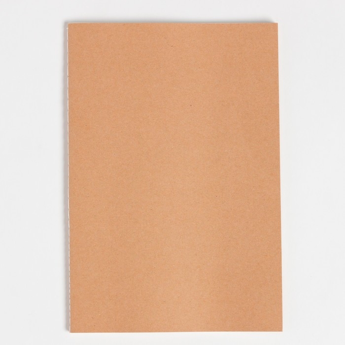 Набор подарочный Набор подарочный "A little bit wild" плед, носки, бутылка, блокнот