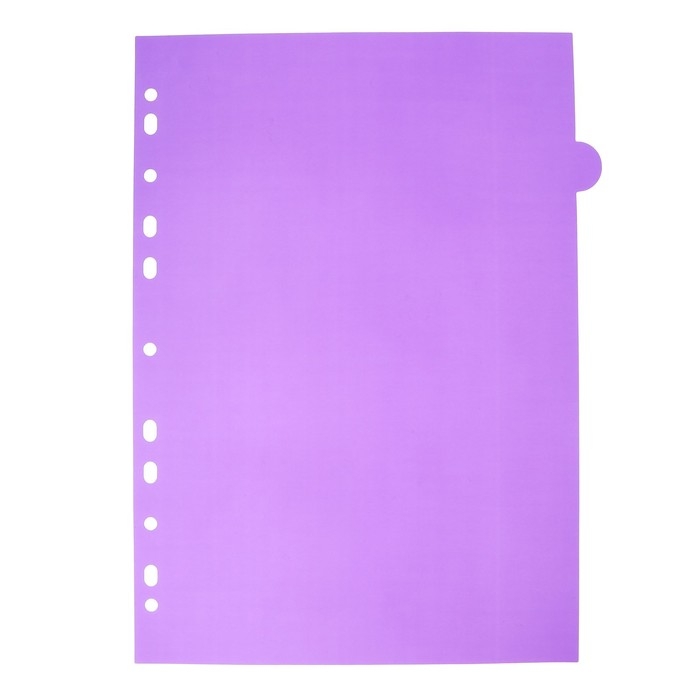 Разделитель листов A4 (245 x 305 мм), цветовой, 12 листов, "deVENTE. Marandi" полипропилен 140 мкм, индивидуальная упаковка