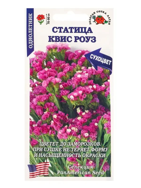 Семена Статица Квис Роуз /Сотка/ 10 шт /ПанАм/  h-70-90 см/*500