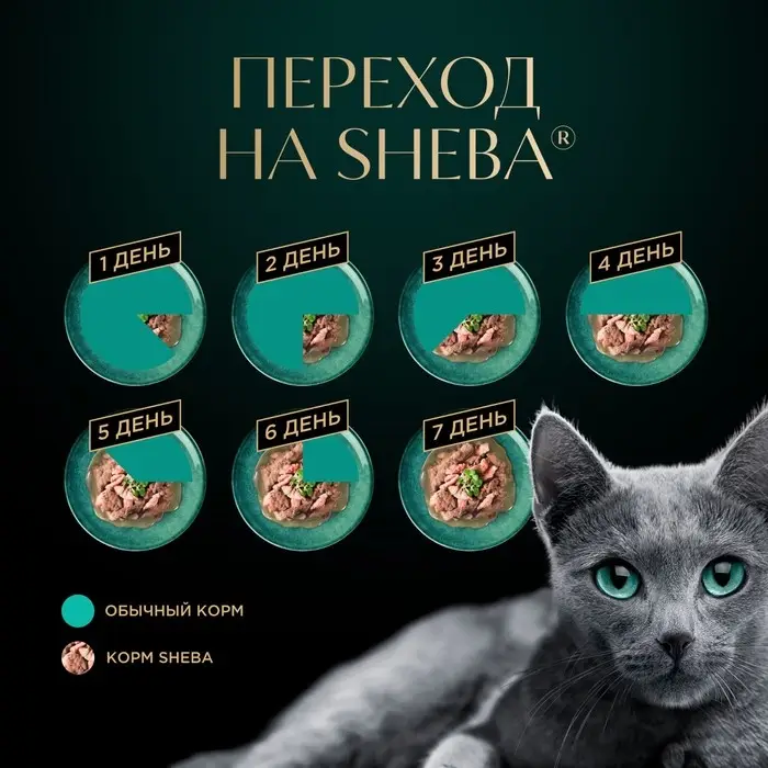 Влажный корм Sheba для кошек, креветки/форель, пауч, 75 г