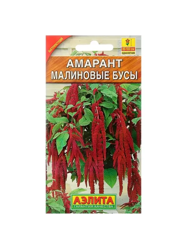 Набор семян Амарант "Малиновые бусы", О, 5 шт.