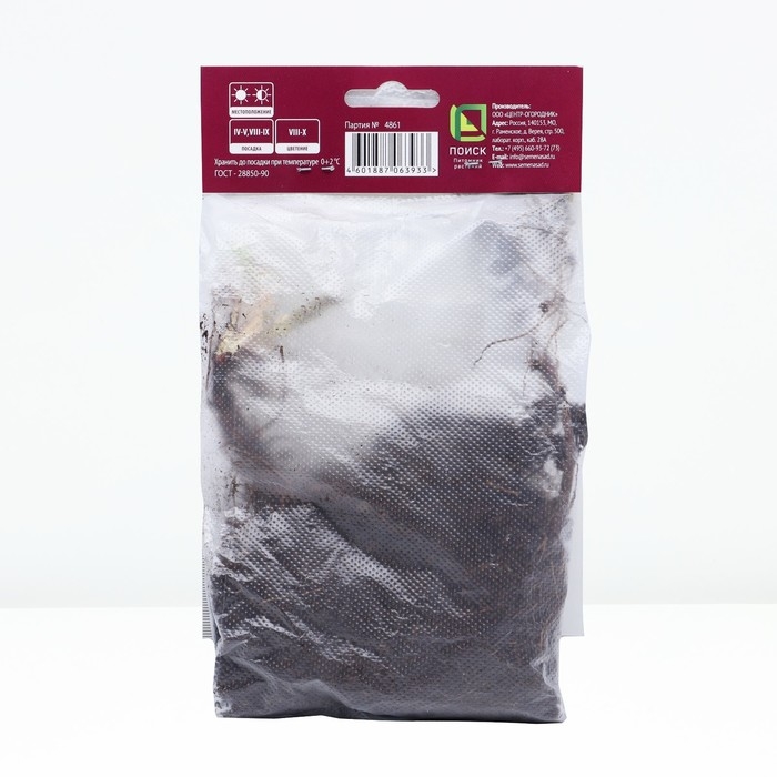 Астра новобельгийская &laquo;Фэллоушип&raquo;,корневище в торфогрунте, р-р I, 1 шт.