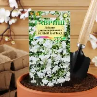 Семена цветов Лобелия ампельная "Белый каскад", ц/п,  0,01 г