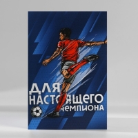 Подарочный набор блокнот с раскраской А6 и ручка &laquo;Для настоящего чемпиона&raquo;