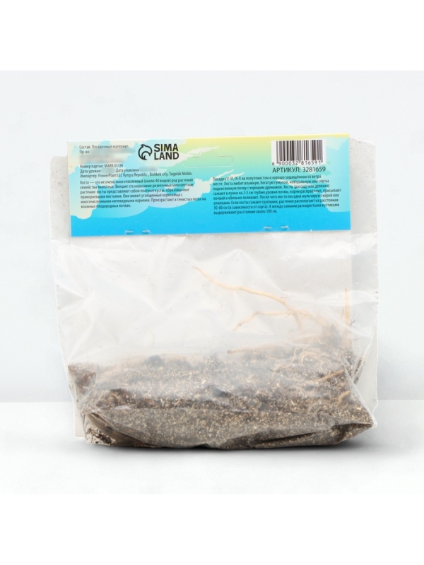 Хоста &laquo;Рейнфорест Санрайз&raquo;, корневище в пакете с торфогрунтом, р-р I, 1 шт.