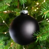 Елочный шар Finery Matt, 10 см, матовый черный