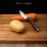 Набор ножей 3 шт с разделочной доской Stein 4BSS