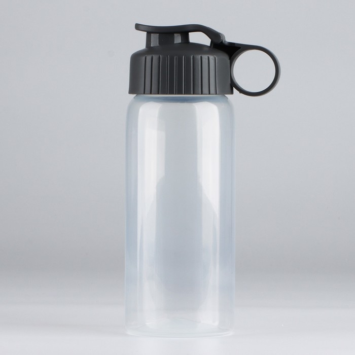 Бутылка для воды &laquo;Вид 4&raquo;, 450 мл