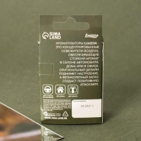 Ароматизатор подвесной в бутылочке, размер XXL &laquo;Хвойный лес&raquo;