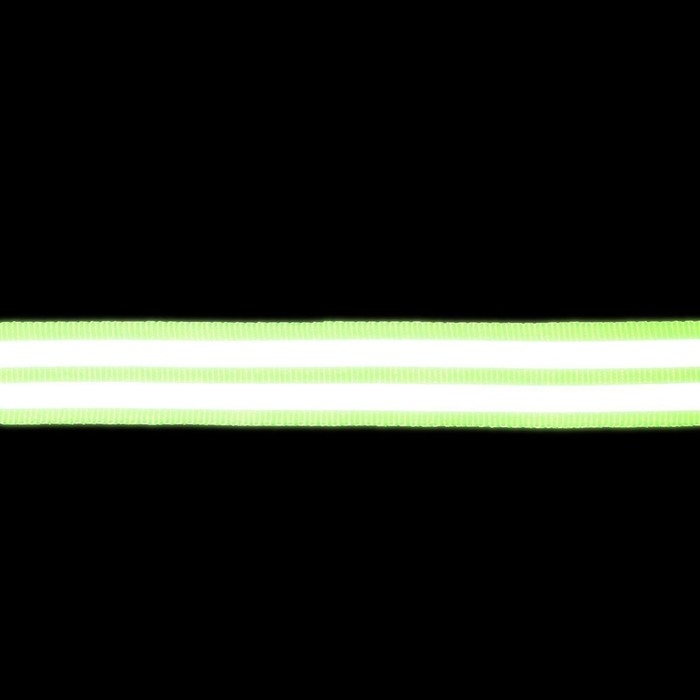 Светоотражающая лента-стропа, 40 мм, 5 &plusmn; 1 м, цвет салатовый
