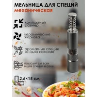 Мельница для специй &laquo;Пружина&raquo;, 15&times;2,5 см, металлический механизм, цвет серый