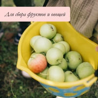 Ёмкость универсальная, 3 л, &laquo;Утки&raquo;, жёлтая