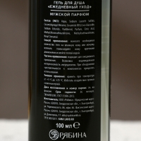 Гель для душа &laquo;Идеальный мужик - это ты&raquo;, 100 мл, аромат мужского парфюма, HARD LINE