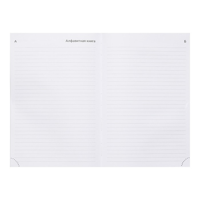 Ежедневник датированный 2024 года, А5, 176 листов, Attomex.Lancaster, обложка балакрон, ляссе, блок 70 г/м2, синий