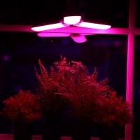 Фитолампа светодиодная, E27, 24 Вт, IP 20, 220 В, трехлепестковая, складная, мультиспектральная 7391 Фитолампа светодиодная, E27, 24 Вт, IP 20, 220 В, трехлепестковая, складная, мультиспектральная 7391