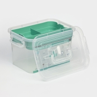 Аптечка с вкладышем Доляна, 6,5 л, 31&times;20&times;18 см