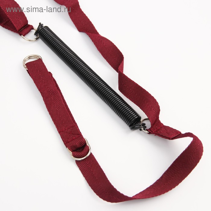 Прыгунки №1 «Звезды, Леденец, Мороженое» (прыгунки, качели, тарзанка), цвет МИКС Прыгунки №1 «Звезды, Леденец, Мороженое» (прыгунки, качели, тарзанка), цвет МИКС