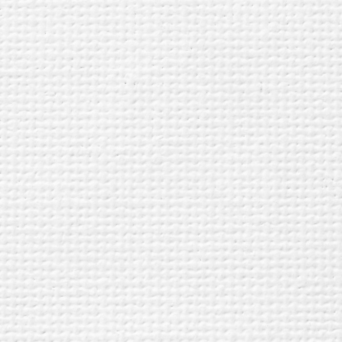 Холст на картоне 24 х 30 см, 100% хлопок, 280 г/м2, мелкое зерно