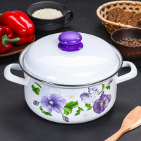 Кастрюля эмалированная &laquo;Анютины глазки&raquo;, 3 л, индукция