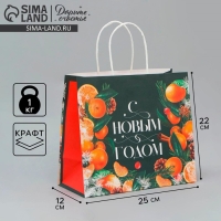 Пакет подарочный новогодний крафтовый &laquo;Новогодняя суета&raquo;, 25 х 22 х 12 см, Новый год