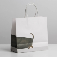 Пакет подарочный, упаковка, &laquo;Пирожочек&raquo;, 22 х 22 х 11 см