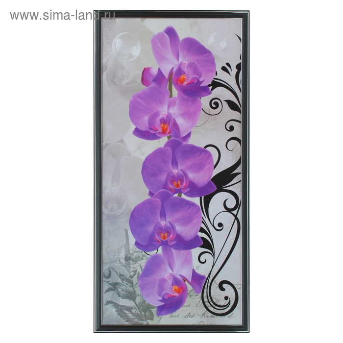 Картина "Фиолетовый фаленопсис" 36*73 см
