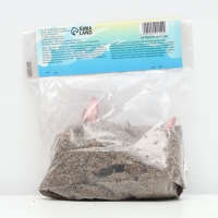 Лилия Восточная Pink News, луковица в пакете с перфорацией, р-р 12/14, 3 шт.