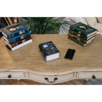 Сейф-книга "Приключения Шерлока Холмса", 5.7х13х18 см, ключевой замок Сейф-книга "Приключения Шерлока Холмса", 5.7х13х18 см, ключевой замок