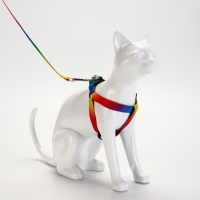 Комплект "Радуга", капрон, поводок 120 х 1,5 см, ОГ 24-34 см, разноцветный