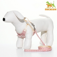 Комплект с мягкой шлейкой "Горох", размер М, поводок 120 х 1,5 см, ОГ 34-66 см, розовый Комплект с мягкой шлейкой "Горох", размер М, поводок 120 х 1,5 см, ОГ 34-66 см, розовый