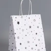 Пакеты подарочные, "С Днем Рождения", 22 х 12 х 25 см , набор 4 шт