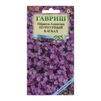 Семена цветов Обриета "Пурпурный каскад", ц/п,  0,05 г