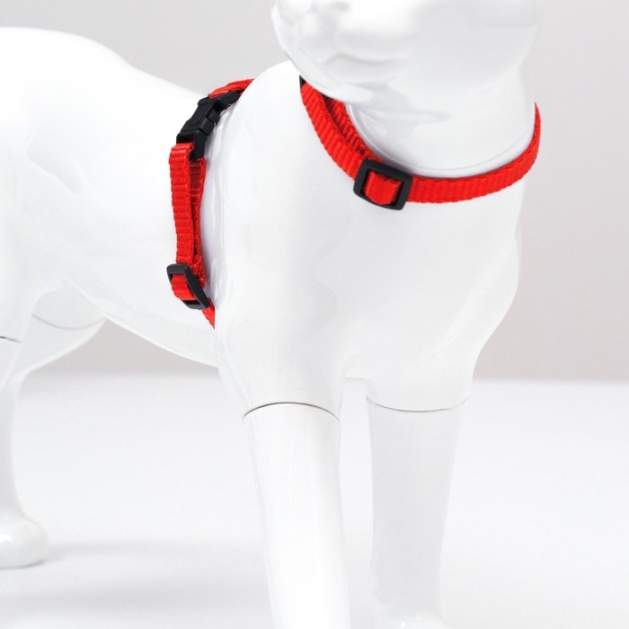 Комплект для кошек, ширина 1 см, ОШ 16,5-27 см, ОГ 21-35 см, поводок 120 см, красный