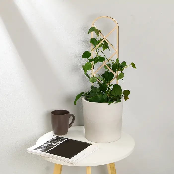 Шпалера, 46 &times; 12 см, дерево, &laquo;Буби&raquo;, Greengo