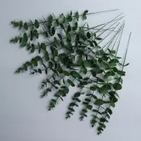 Декоративная ветка &laquo;Эвкалипт&raquo;, 39 &times; 4,5 &times; 4,5 см