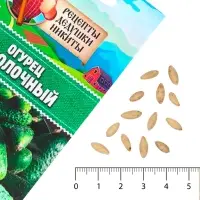 Семена Огурец "Засолочный", 0,5 г