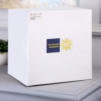 Светодиодная фигура &laquo;Мишка&raquo; 25 &times; 26 &times; 23 см, акрил, 50 LED, батарейки АА &times; 2 (не в комплекте), свечение белое