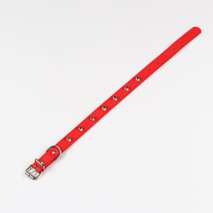 Ошейник с затупленными шипами, 45 х 2 см, микс цветов