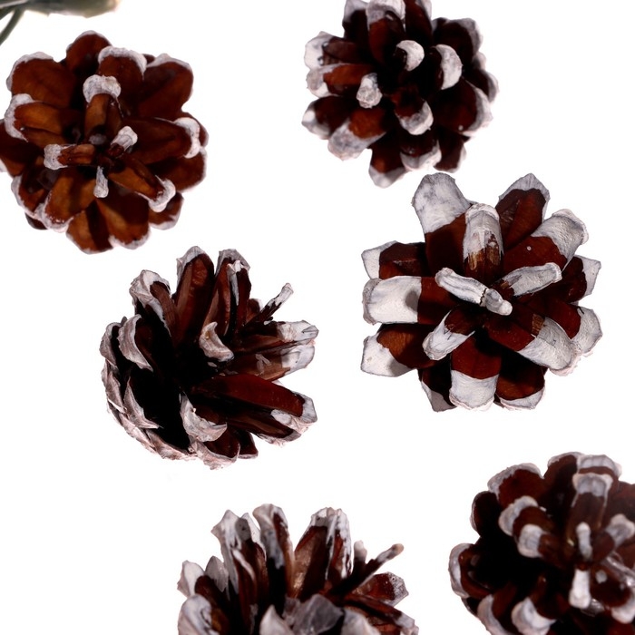 Новогодний набор &laquo;Снег&raquo;