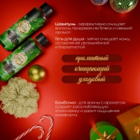 Новогодний подарочный набор косметики «Зимняя сказка», с ароматом хвои и корицы. Зеленая серия. Новогодний подарочный набор косметики «Зимняя сказка», с ароматом хвои и корицы. Зеленая серия.