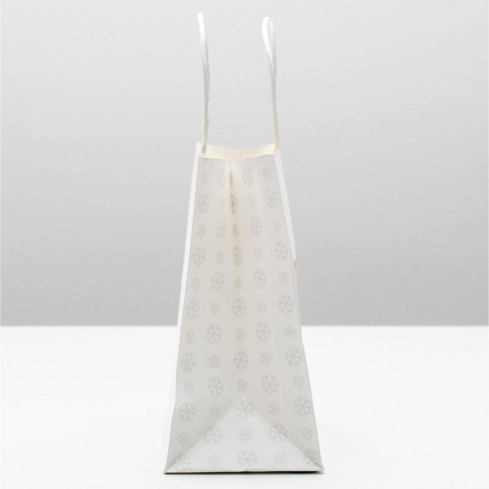 Пакет подарочный новогодний «Год новый, а ты старый», 22 х 22 х 11 см, Новый год Пакет подарочный новогодний «Год новый, а ты старый», 22 х 22 х 11 см, Новый год