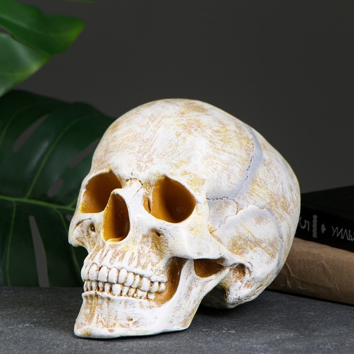 Копилка Копилка "Череп" кость, 16х13х22см