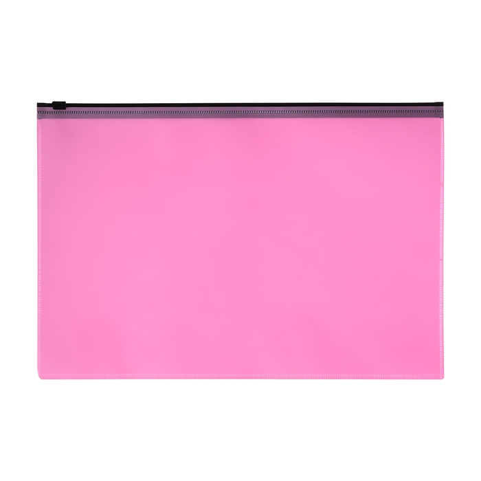 Набор папок-конвертов на ZIP-молнии A4, 150 мкм, Calligrata Pastel, полупрозрачные, 4 штуки, МИКС