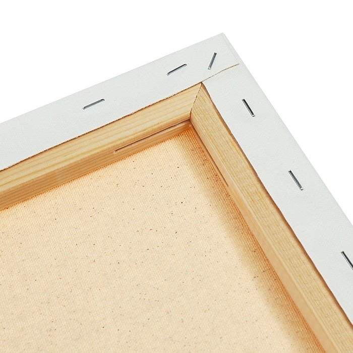 Холст на подрамнике, хлопок 100%, акриловый грунт, 2 х 60 х 80 см, 400г/м&sup2;, Гамма Студия