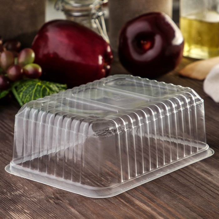 Набор одноразовых контейнеров, 1 л, 17,9×13,2×6,4 см, 50 шт, цвет прозрачный Набор одноразовых контейнеров, 1 л, 17,9×13,2×6,4 см, 50 шт, цвет прозрачный