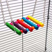 Качели-лесенка для птиц Качели-лесенка для птиц